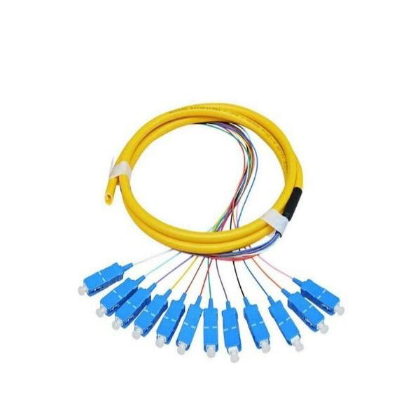 Ang sulud nga patch cord karon 18