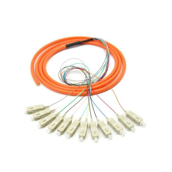 Ang sulud nga patch cord karon 22